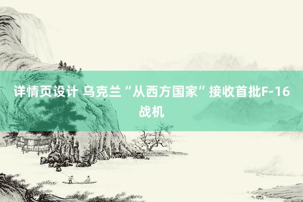 详情页设计 乌克兰“从西方国家”接收首批F-16战机